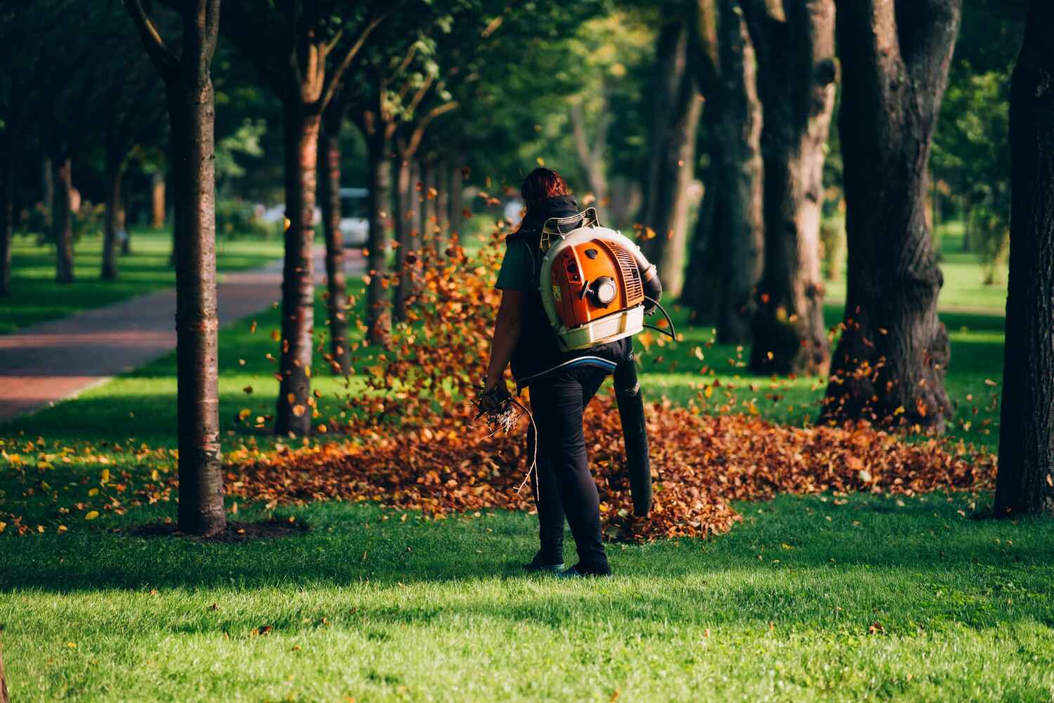 Trusted Country Club Hills, MO Tree Service Experts